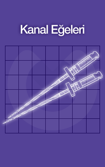 Kanal Eğeleri