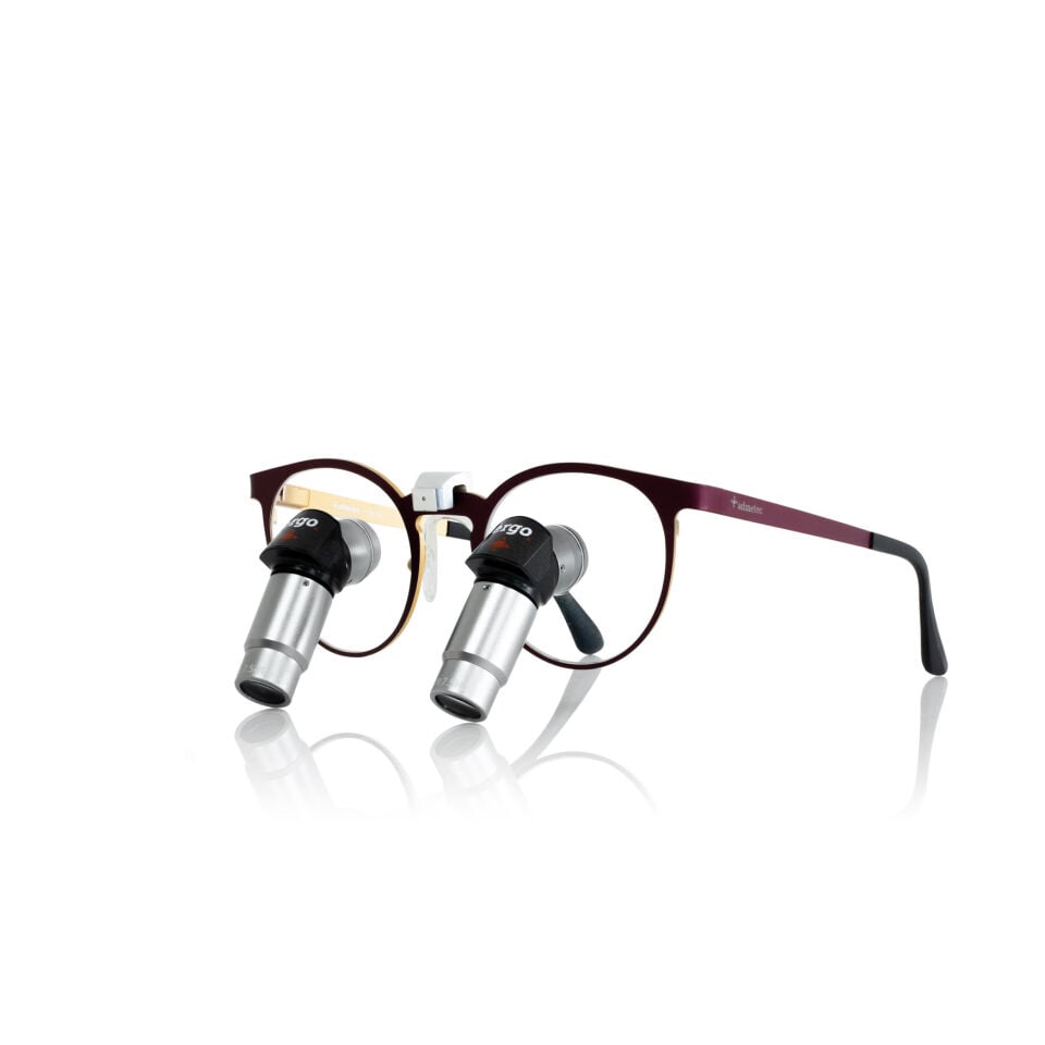 Ergo Loupes